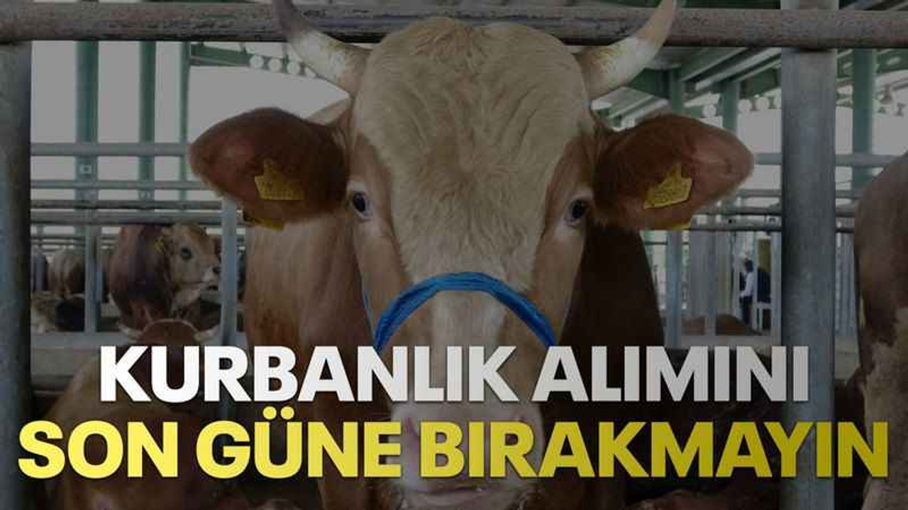 Kurbanlık alımını son güne bırakmayın
